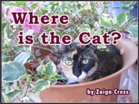 Where_is_the_Cat